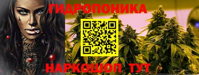 наркотики Новозыбков