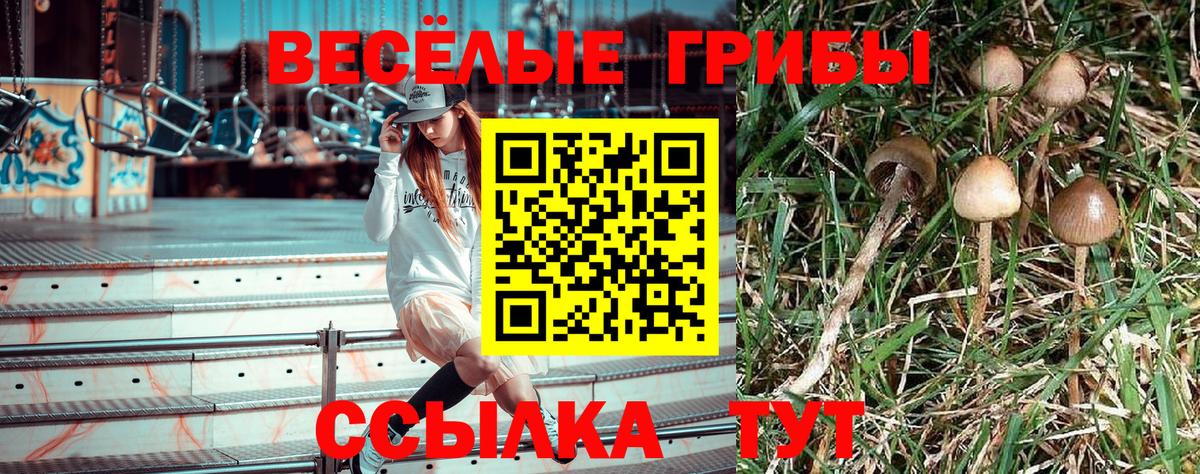 Галлюциногенные грибы мухоморы  Вход с VPN  Свободный  закладки  Галлюциногенные грибы ЛСД 